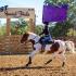 Old West Fall Show